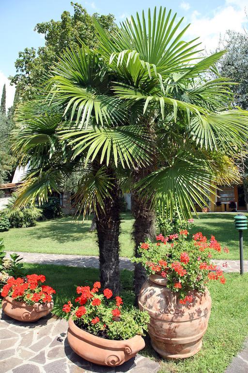 Hotel Sailing Center Malcesine Exterior foto